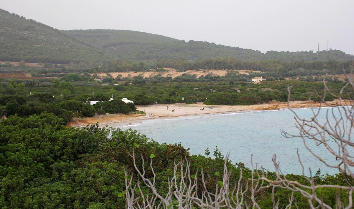 Comune di Alghero ​