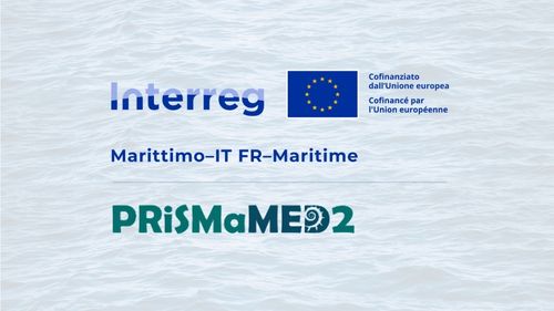 P.Ri.S.Ma. MED2
