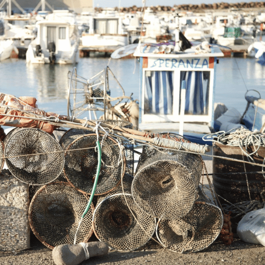 FEAMPA, la Commissione europea propone nuove semplificazioni per pesca e acquacoltura